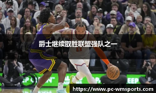 完美体育公司